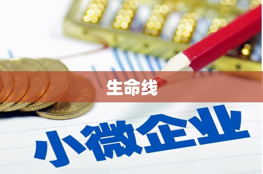 孝感生命线