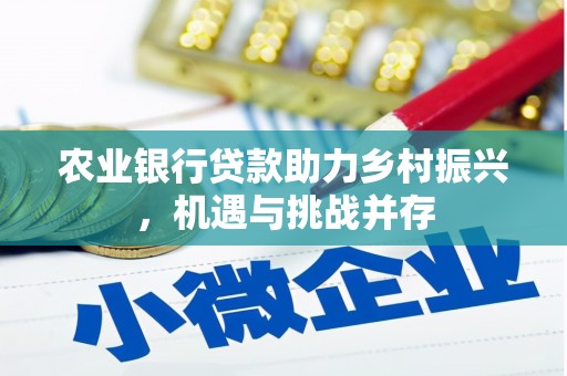 孝感农业银行贷款助力乡村振兴，机遇与挑战并存