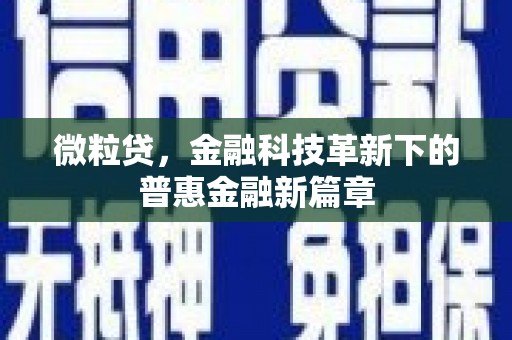 孝感微粒贷，金融科技革新下的普惠金融新篇章