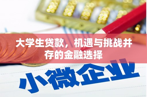 孝感大学生贷款，机遇与挑战并存的金融选择