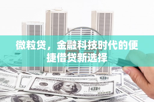 孝感微粒贷，金融科技时代的便捷借贷新选择