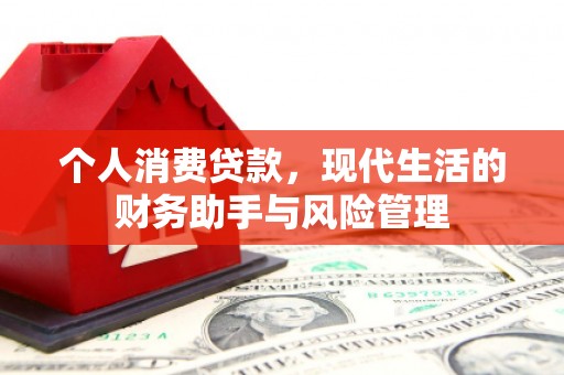 孝感个人消费贷款，现代生活的财务助手与风险管理