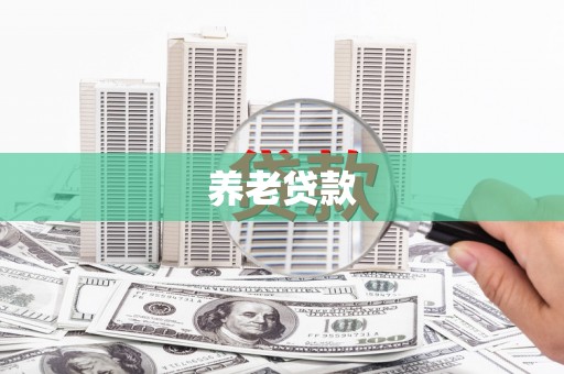 孝感养老贷款
