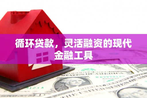 孝感循环贷款，灵活融资的现代金融工具