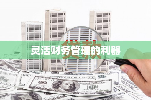 孝感灵活财务管理的利器