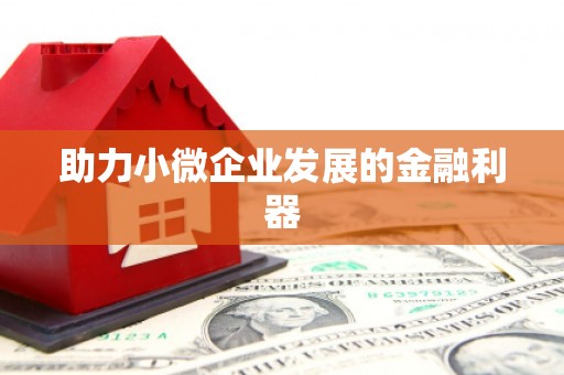 孝感助力小微企业发展的金融利器