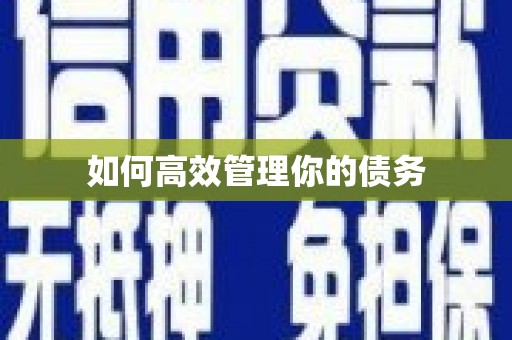 孝感如何高效管理你的债务