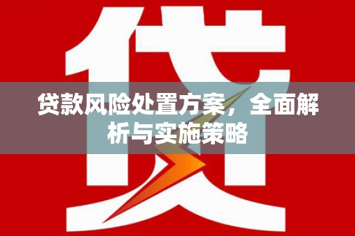 孝感贷款风险处置方案，全面解析与实施策略