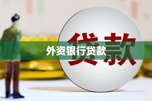 孝感外资银行贷款
