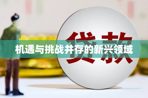 孝感机遇与挑战并存的新兴领域