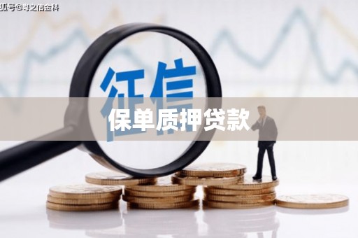 孝感保单质押贷款