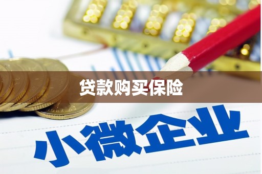 孝感贷款购买保险