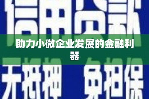 孝感助力小微企业发展的金融利器