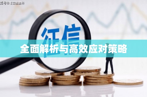 孝感全面解析与高效应对策略