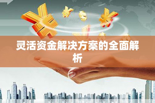 孝感灵活资金解决方案的全面解析