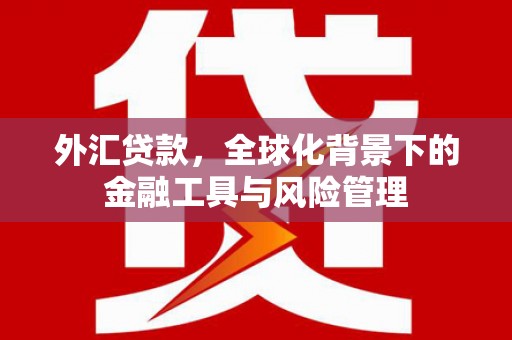 孝感外汇贷款，全球化背景下的金融工具与风险管理