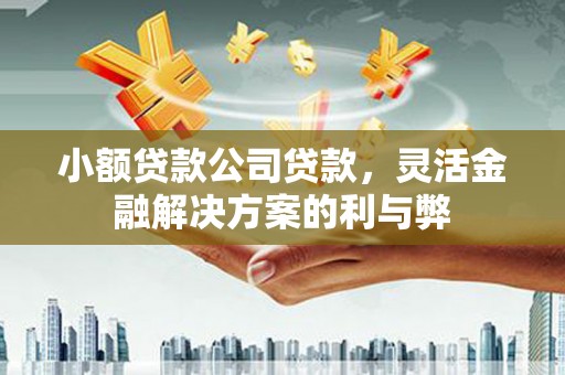 孝感小额贷款公司贷款，灵活金融解决方案的利与弊