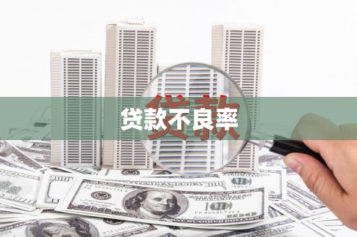 孝感贷款不良率