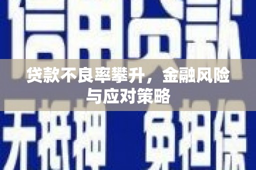 孝感贷款不良率攀升，金融风险与应对策略