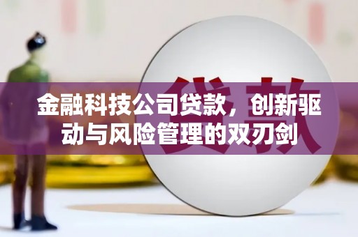 孝感金融科技公司贷款，创新驱动与风险管理的双刃剑